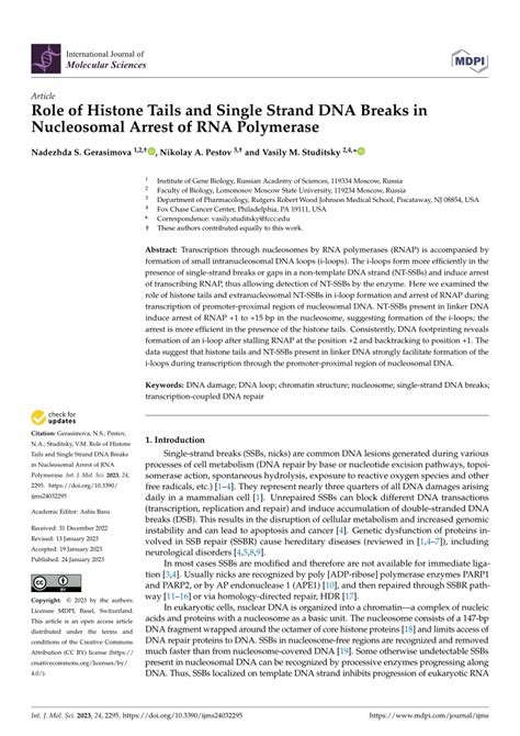 (PDF) Role of Histone Tails and Single Strand DNA Breaks in Nucleosomal ...