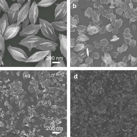 Sem Images Of Variations In The Morphologies Of The Cuo Nanostructures