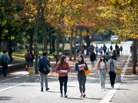 Cornell Engineering Acceptance Rate at Molly Nielsen blog