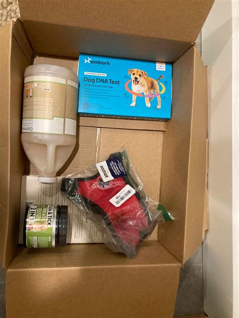The Best Embark Dog DNA Test: Reviewed - A-Z Animals