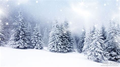 85 Festive Christmas Zoom Backgrounds | Christmas background images, Background, Snow covered trees