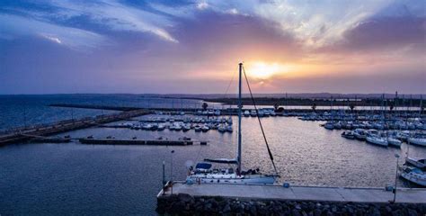 P Tits Loups Vesseljoin