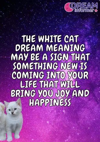 White Cat Dream Meaning Dream Meanings Dream Symbols Meant To Be