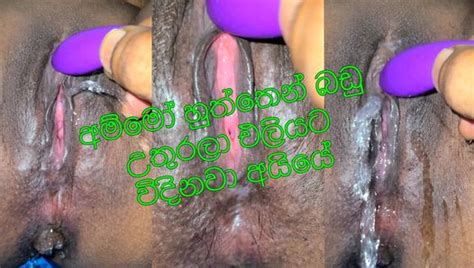 Nri Porn Videos Xhamster