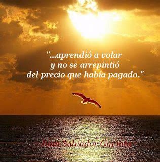 Frases Inspiradoras De Juan Salvador Gaviota Claridad Mental