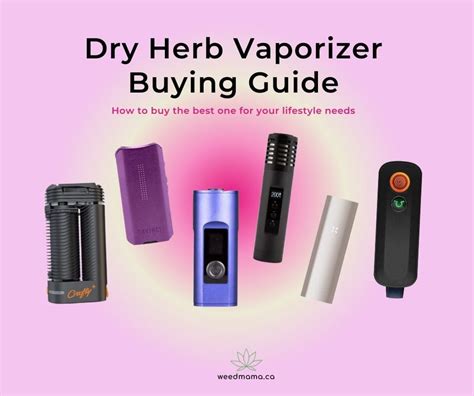 Dos And Don Ts Of Sex On Edibles Weed Mama