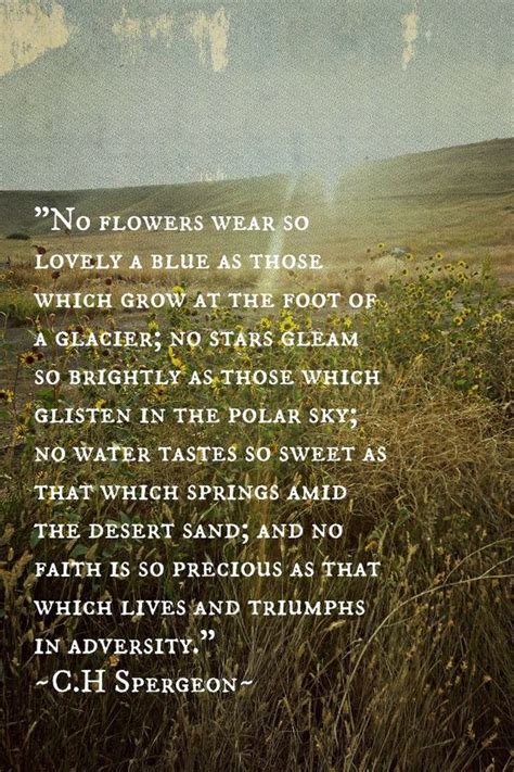110 Best Dietrich Bonhoeffer Quotes Ideas Bonhoeffer Bonhoeffer