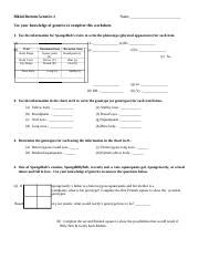Spongebob Genetics Pdf Docx Bikini Bottom Genetics Name Use Your Knowledge Of Genetics To