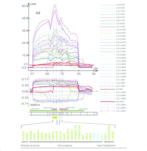 Demonstration Of Co Localized Qtls Of Oil Content And Fa Compositions