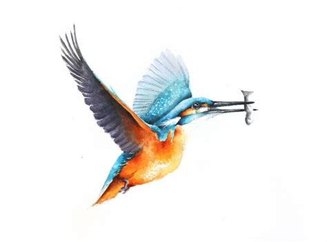 Art Collectibles Prints Gicl E Kingfisher Wildlife Ink Wash And