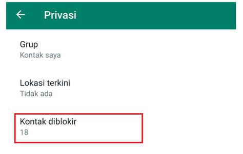 7 Cara Menampilkan Nama Kontak WhatsApp Tidak Muncul