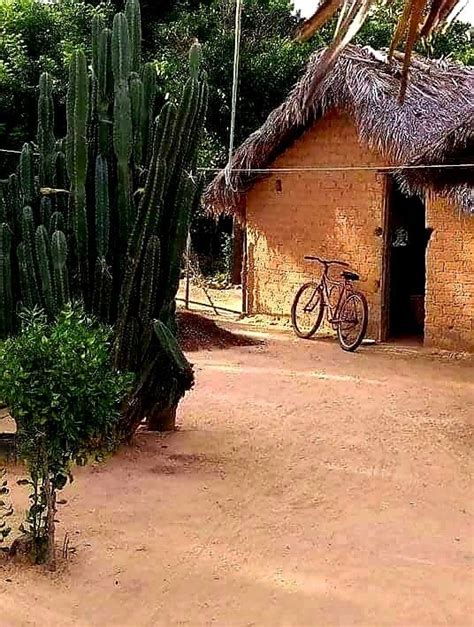 Pin De Gilvan Raimundo Em Sertanejo Lindas Paisagens Casas Casas De