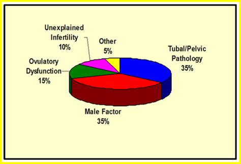 Contraception And Fertility Infertility Lec 18 Nair Singer