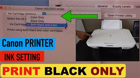 Canon Printer Black Ink Only Setting Canon Pixma Mg2500 Series Printer Youtube