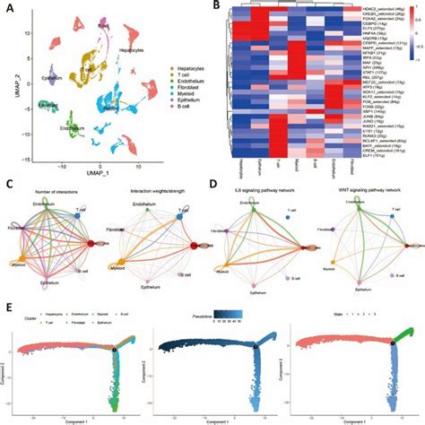 Identification Of Stemness Related Signatures Based On Single Cell RNA