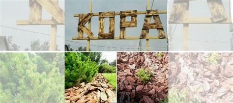 Кора лиственницы мульча купить в Барнауле | Товары для дома и дачи | Авито