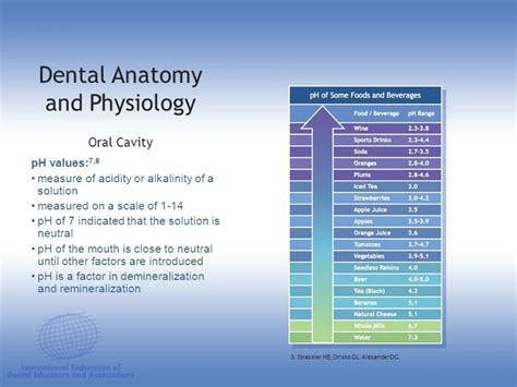 Special Or Dental Anatomy And Physiology And Dental Histology Human And Comparative A Textbook For Students 9