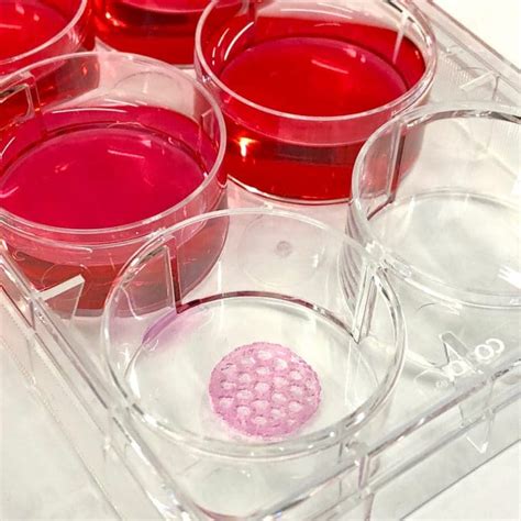 What Is 3D Bioprinting Bioprinting Explained Allevi