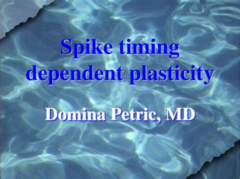 Spike Timing Dependent Plasticity Ppt Download