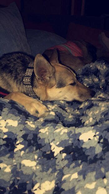 Britney Light Britneylightx Britneylight Nude Onlyfans The Fappening Plus