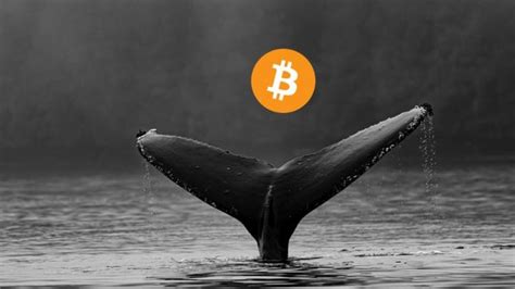 Reaparecen ballenas de Bitcoin y mueven 230 millones de dólares in 2024