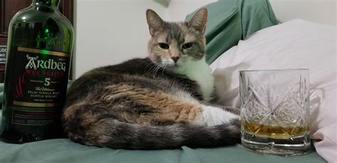 Review #14: Ardbeg Wee Beastie : r/Scotch