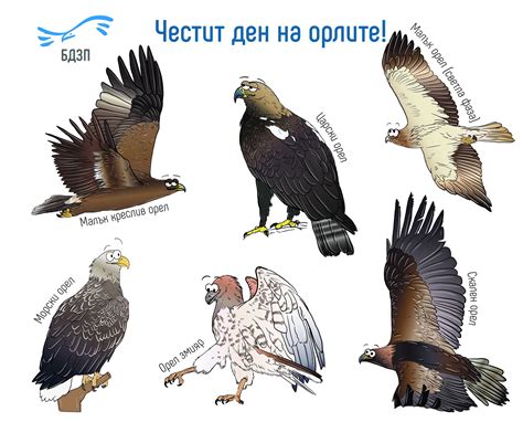 🎉 Днес, на 27-ми юни, отбелязваме Деня на орлите! 🦅🦅 Този специален ден ...