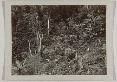 The Indies Definition, Meaning & Usage | FineDictionary.com