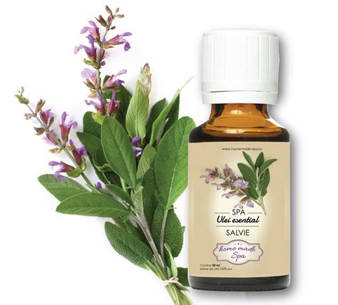 ulei esential de salvie uleiuri esentiale  naturale homemade spa