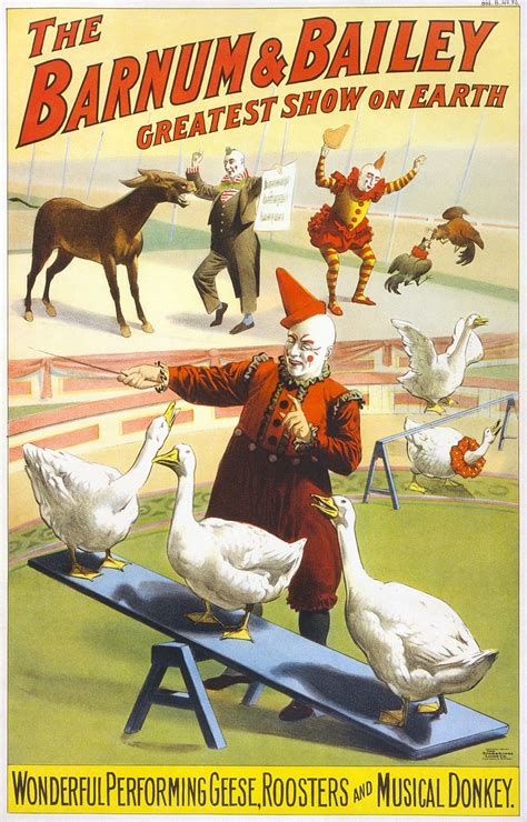 circus wikipedia
