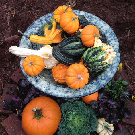 DesignsandEvents: Decorating with Gourds and Pumpkins