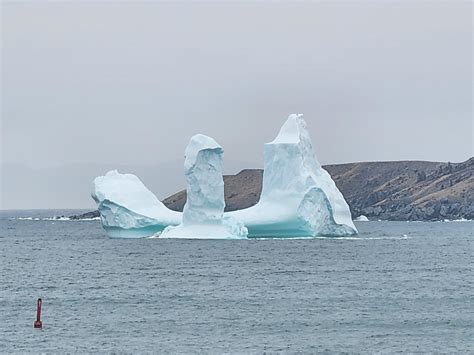 Icebergs In Newfoundland Looking A Little Sus 🧐 Rmildlypenis