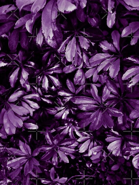 Floral Shrub Purple Sticker For Sale By Ylavine Rb Redbubble