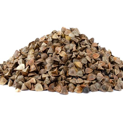 cover crop buckwheat 1