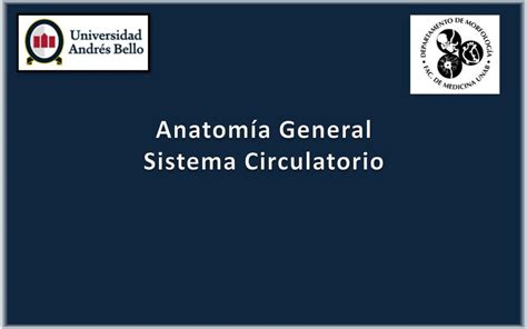 Anatomía General Sistema Circulatorio Valeria Constanza uDocz