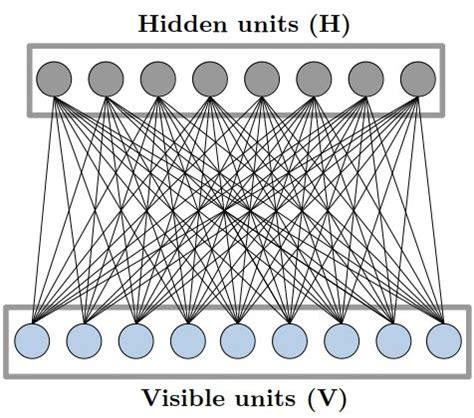 Graphical representation of a Restricted Boltzmann Machine. | Download ...