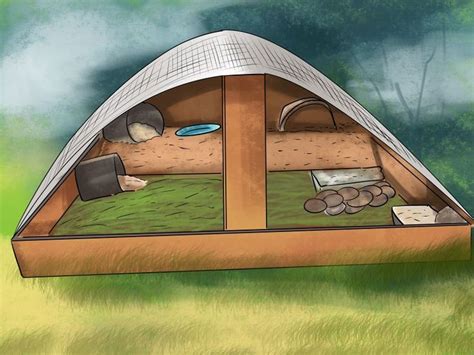 Image result for how to make a quail habitat | Quail, Backyard animals