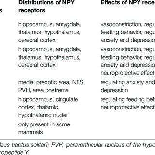 Related Mechanism Of NPY In Neurodegenerative Diseases The