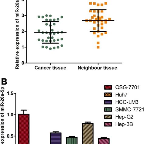 Mir A P Is Downregulated In Hepatocellular Carcinoma Hcc Tissues