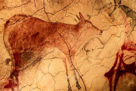 Oldest Cave Drawing