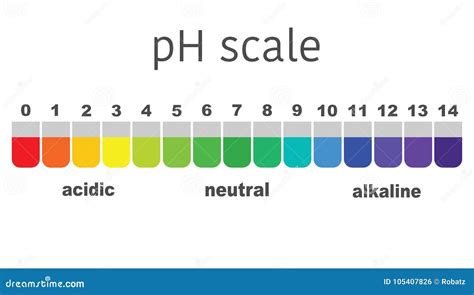 Escala Del Valor De PH Para Las Soluciones ácidas Y Alcalinas