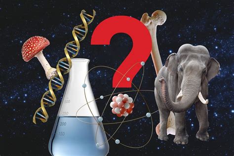 100 Science Trivia Questions and Answers to Test Your Smarts