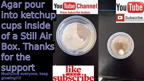 Agar Pour Into Ketchup Cups And Other Tips And Advice On Agar How To