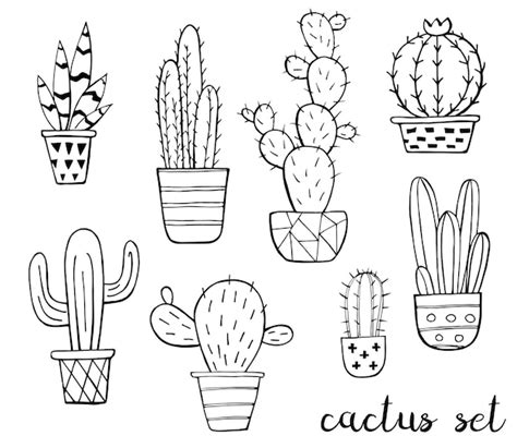 Vector Conjunto De Cactus Lindo Dibujo En Blanco Y Negro Aislado Cactus