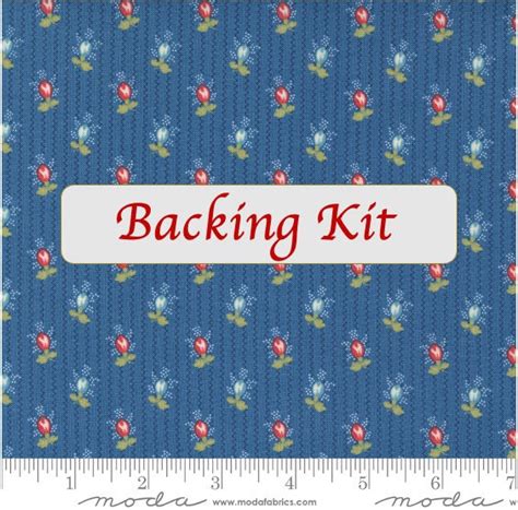 Newport Stars Minick And Simpson Quilt Kit Moda Pastry Shop Etsy