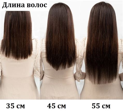 См Картинки – Telegraph