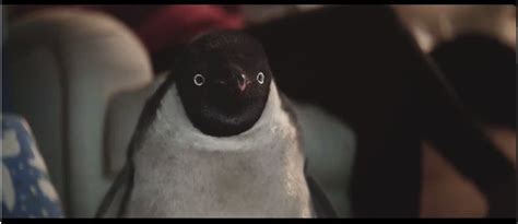 John Lewis's Monty The Penguin Christmas Advert: Here's What Went ...