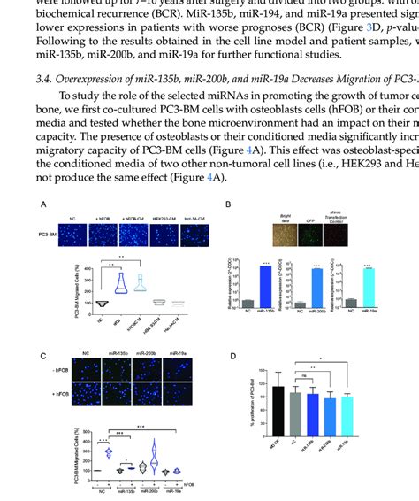 Functional Study Of Selected Mirnas A Boyden Chamber Migration