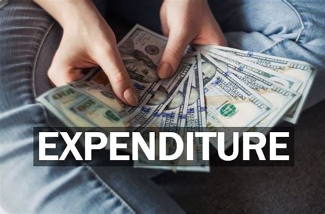 expenditure definition  examples market business news