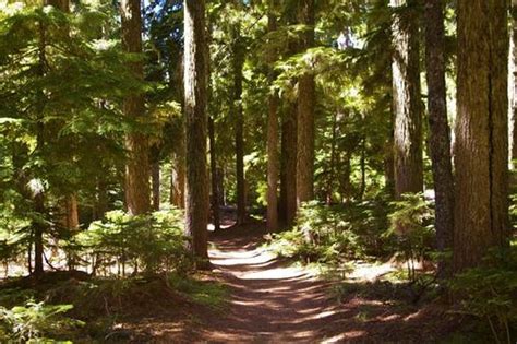 Twin Lakes Hike Hiking In Portland Oregon And Washington